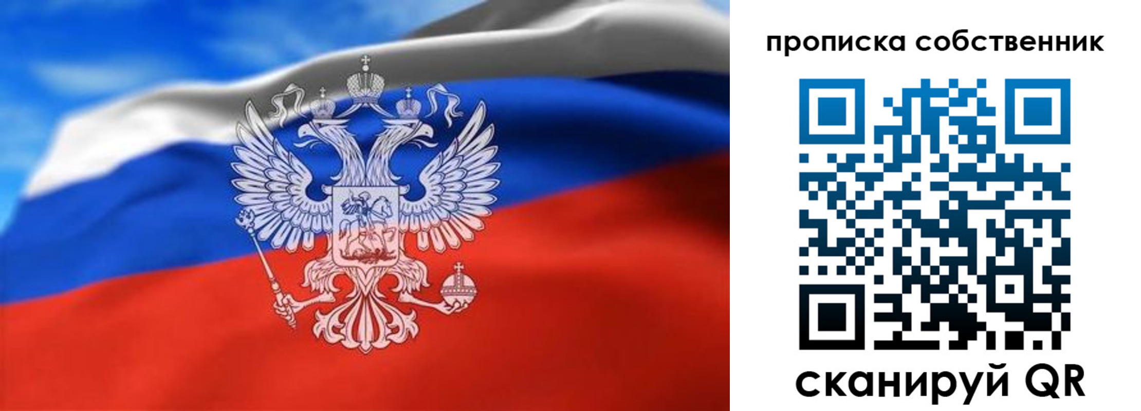 прописка законно в Кингисеппе